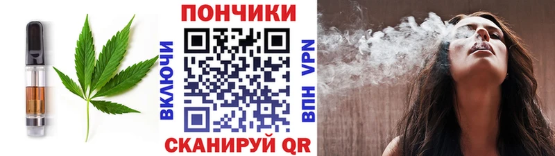ОМГ ОМГ ТОР  купить наркоту  Алдан  Печенье с ТГК конопля 