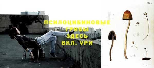 трава Александровское