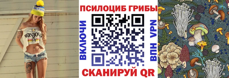 купить   Алдан  Галлюциногенные грибы MAGIC MUSHROOMS 
